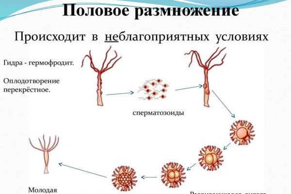 Кракен в обход