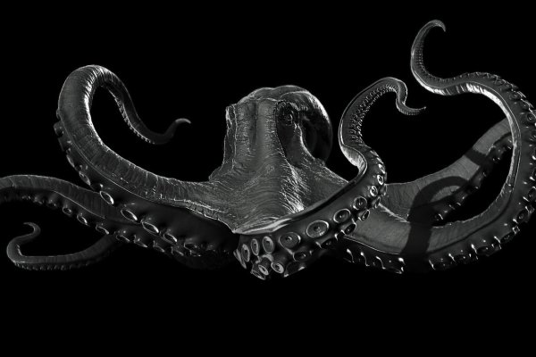 Kraken ссылка актуальная