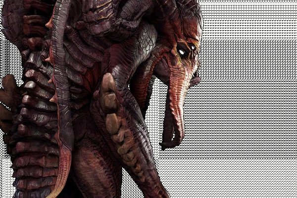 Kraken 18
