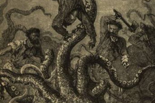 Ссылка на kraken at