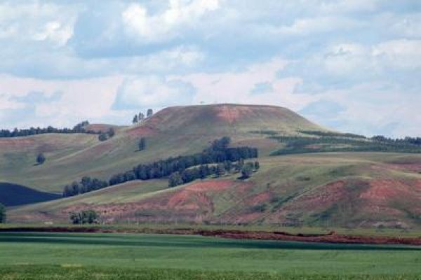 Забыл пароль кракен
