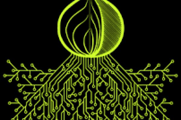 Kraken 19 at
