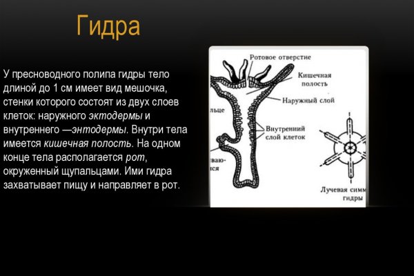Kraken зеркала gigageek ru