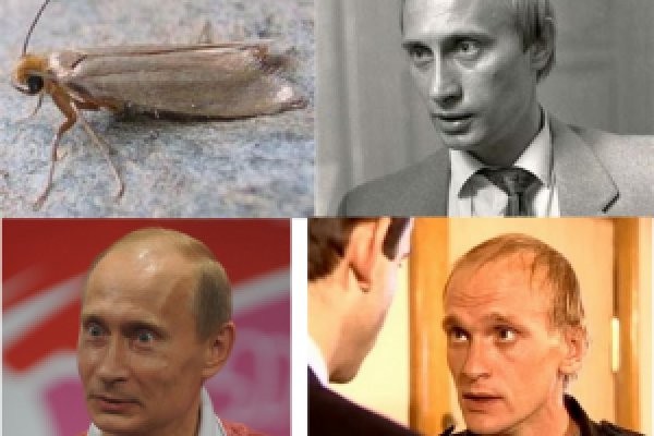 Как зарегистрироваться на сайт из россии