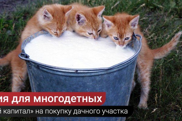 Кракен даркнет площадка