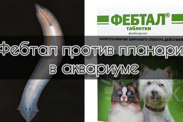 Кракен шоп что это