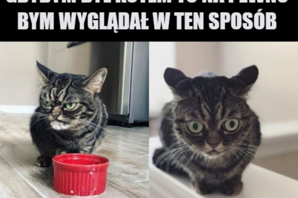 Как купить наркотик в кракен